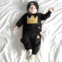 Toddler Baby Boys girls Casual Clothing Sets Long Sleeve T shirt Pants 2Pcs Infant Clothes Tracksuit