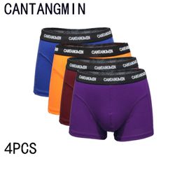 Underpants CANTANGMIN man panties cotton boxers breathable comfortable mens underwear trunk brand boxer 221123