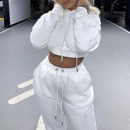 Women s Two Piece Pants Sexy Tracksuit Zipper Casual Loose Solid Color Short Hoodies Sweatshirts Pullovers Jogging Set 221123