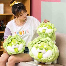 Cute Vegetable Fairy Cuddle Japanese Cabbage Dog Fluffy Cuddles Dog Soft Doll Shiba Inu Cushion Baby Kids Toy gift J220729