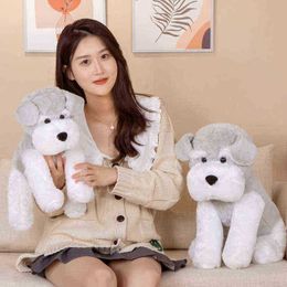 3545CM Kawaii Schnauzer Plush Toys Lovely Stuffed Soft Animal Pillow Simulation Dolls ldren Girls Birthday Christmas Gift J220729