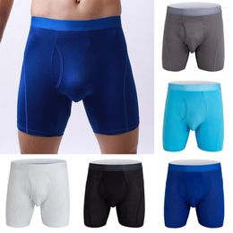 Underpants Male Shorts Breathable Long Underwear Mesh Large Size Panties Sexy Boxers White Black Dark Blue Gray