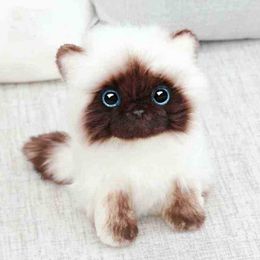 26cm Soft ldren Gift Stuffed Animals Creative Cartoon Sofa Pillow Ragdoll Kitty Toy Plush Doll Siamese Cat J220729