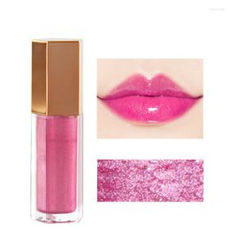 Lip Gloss Makeup Plumping Serum Oil Care Base High Lipstick Long Lasting Moisturizing Nourishing 8ML