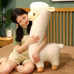 3353Cm White And Brown Alpaca Plush Doll Baby Cute Animal Doll Soft Cotton Stuffed Doll Home Soft Toy Sleeping Hugs J220729