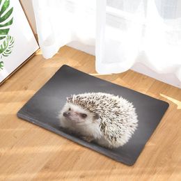 Carpets CAMMITEVER Lovely Hedgehog Wild Animal Carprt Rug Mat Carpet Pad Anti-Slip Chair Sofa Cover For Bedroom Home Decor High Quality