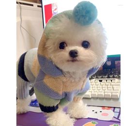 Dog Apparel Knitting Four-leg Sweater Pet Clothes Colourful Cotton Dogs Clothing Cat Small Cute Autumn Winter Fashion Boy Girl Chihuahua