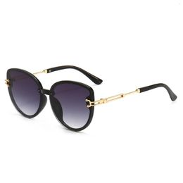 Sunglasses For Women Oversized Fashion Sunglass With Hollow Metal Temple Anti-Glare Sun Shade Eyeglass Womens FS99