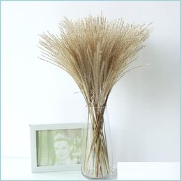 Decorative Flowers Wreaths Real Pampas Grass Natural Dried Plants Wedding Flowers Dry Flower Bouquet Fluffy Lovely For Holiday Hom Dhv7E