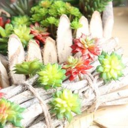 Decorative Flowers Landscape Fake Flower Artificial Succulents Plants Grass Desert Plant Garden Decor Home Office