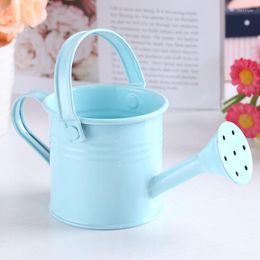 Watering Equipments Large Arrival Metal Can Garden Miniature Decoration For Children Kids Dolls Dollhouse Furniture