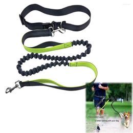 Dog Collars Hands Free Running Leash With Adjustable Waist Belt Dual Handle Elastic Bungees Retractable Rope Reflective Walking Hiking