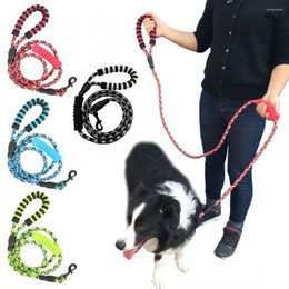 Dog Collars 180cm Leash Round Polyester Dogs Lead Rope Colourful Pet Long Leashes Belt Outdoor Walking Training Leads Ropes