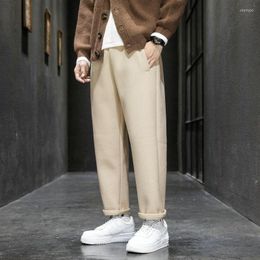 Men's Pants ZCSMLL Autumn Winter Woolen Men's Harem 2022 Harajuku Thicken Man Casual Straight Elastic Waist Male Trousers