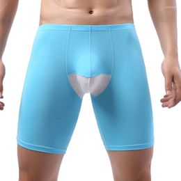 Underpants 2XL Cotton Long Boxer Shorts Men Underwear Boxershorts Cueca Breathable Penis Pouch Panties Sports Workout Trunks Briefs