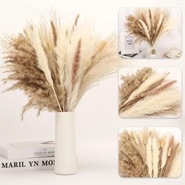 Decorative Flowers 65Pcs/lot Cream Pampas Grass Fluffy Room Phragmites Decoration Natural Tail Dried Bouquet Boho Home Decor