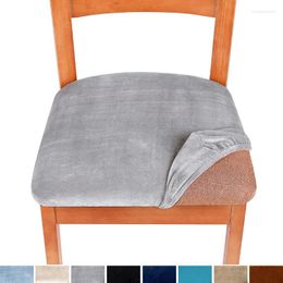 Chair Covers 1 Piece For Sale Removable Dining Seat Cover Velvet Stretch Cushion Slipcover Room Kitchen Chairs