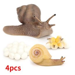 Garden Decorations Realistic Snail Growth Cycle Figure Animal Model Life Cycle of Snail Figures Miniature Garden Decor Collector Educational Toys 221126