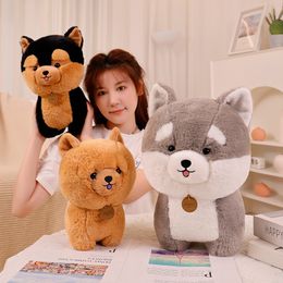 25/35cm Super Cute Corgi Dog Plush Toys Stuffed Soft Animal Dog Dolls Pillow for Children Kids Birthday Xmas Gift Brinquedos