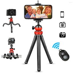 Tripods WlakingWay Mini Octopus Flexible Tripod Camera Stativ Extend 1/4'' Screw With Ballhead Phone Clip For Selfie