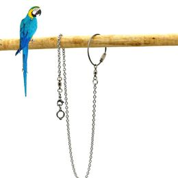 Other Bird Supplies Arrival Parrot Stainless Steel Foot Ring Chain Opening Activity For Lovebird Cockatiel Parakeet Stand Anklet 221128