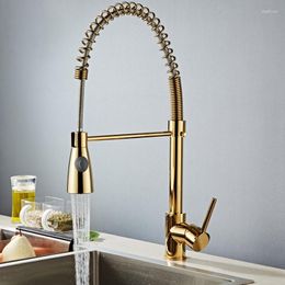 Kitchen Faucets Spring Style Faucet Golden Chrome Pull Out Torneira All Around Rotate Swivel 2-Function Water Outlet Mixer Tap