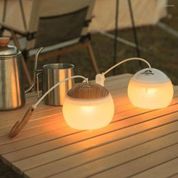 Portable Lanterns Mini Camping Lights LED Lamp USB Rechargeable Hanging Night For Outdoor Tent Garden