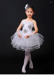 Stage Wear 1 Piece Girls Ballet Dress Swan Dance Adult White Veil Condole Tutu