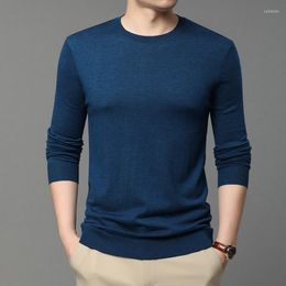 Men's Sweaters Wool Spring Autumn Mens Luxury Long Sleeve Round Neck Solid Color Casual Computer Knitted Pullovers Male