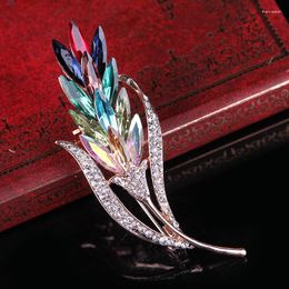 Brooches Trend Creative Exquisite Colourful Zircon Feather Brooch Ladies Fashion Prom Party Jewellery Gift