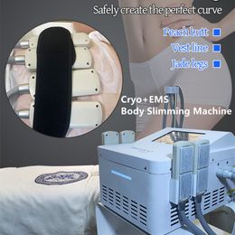 2 in 1 Slimming Machine Cryotherapy Cryolipolysis Fat Freezing Weightloss Cooling Tech Body Sculpting Equipment EMS Muscle Building Stimulation Device