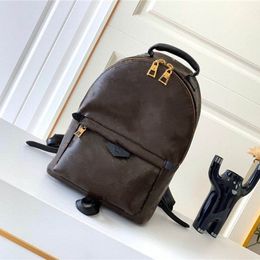 Luxury Brand Backpack Style Bags Palm Springs PM Back Pack Ruck Suck M44871 Backpack PM Brown Canvas 7A Quality g 2EH9