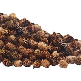 Christmas Decorations 150 PCS Natural Mini Pine Cones- 3CM Thanksgiving Cones Ornaments Vase Fillers for DIY Crafts Home 221130