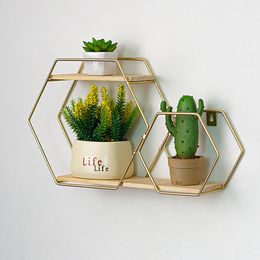 Novelty Items Simple Nordic Style Decorative Rack Metal Hexagon Wooden Base Wall Mounted Bonsai Ornaments Bracket Natural Beautiful Generous 221129