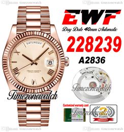 EWF DayDate 40 228235 A2836 Automatic Mens Watch Rose Gold Fluted Bezel Champagne Roman Dial President Bracelet Same Serial Card Super Timezonewatch i9