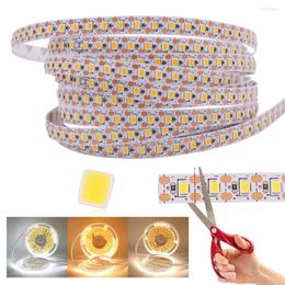 Strips 24V 2835 LED Strip Light 10M 1200LEDs White Warm Natural Tape Rope Lamp Non Waterproof 120LEDs/m Ribbon Diode