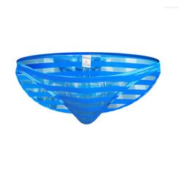 Underpants Sheer Mesh Briefs Sexy Mens Underwear Bikini Panties Ultra Thin Men Striped Transparent Mini Gay Cueca Hombre