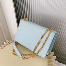 Designer bags Leather Handag Fashion Chain Shoulder Bag High Quality Palace Style Small Totebag Letters Decorated Women Messenger