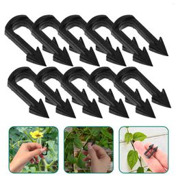 Decorative Flowers Vine Fixing Clipsgardening Clamps Plasticfixed Supplies Clip Strawberry Fixator Forks Fastening Vines Fixture