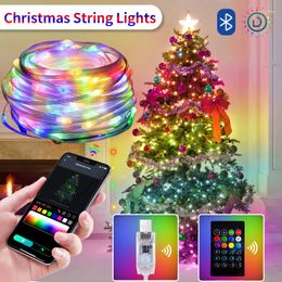 Strings WS2812B LED String Light BT RGB Christmas Lights Party 5m 10m Music APP RGBIC Dream Color Addressable Individually USB 5V Power