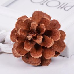 Decorative Flowers 20 PCS Natural Pine Cones Nuts Fruit DIY Handcrafts Christmas Tree Decoration Home Party Office Balcony Layouts Po Props