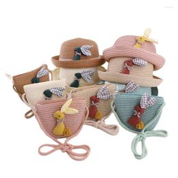 Hats 2-6 Years Old Straw Hat Bag Set Cartoon Spring Summer Sunhat Cute Beach Travel Shopping