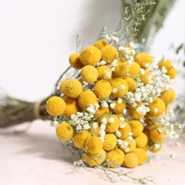 Decorative Flowers 1Set Natural Dried Gypsophila Eucalyptus Golden Ball Preserved Flower Bouquets Home Table Showcase Decoration Po Prop