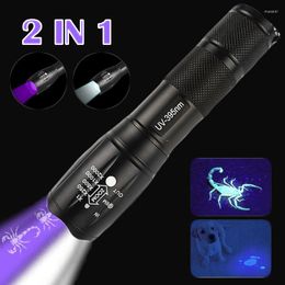 Flashlights Torches 2 IN 1 Purple White Dual Light LED Zoom Fluorescent Black Ultraviolet Lamp Detection