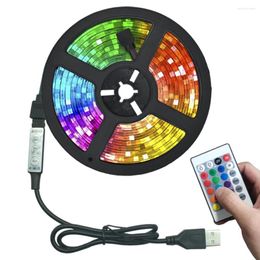 Strips LED Lamps USB Infrared Control RGB SMD2835 DC5V 1M 2M 3M 4M 5M Flexible Lamp Tape Diode TV Background Lighting Luces