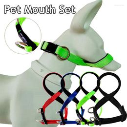 Dog Collars Head Ring Muzzle Leash Anti-barking Pet Collar Training Leader Anti-bite Supplies