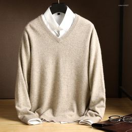 Men's Sweaters Autumn And Winter Style Pure Wool Men's V-Neck Pullover Thick Warmth Solid Color Sweater Loose Fashion All-Match Base