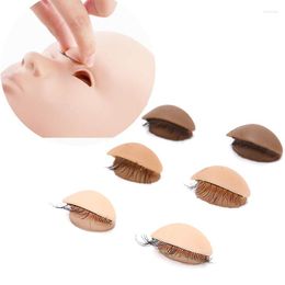 False Eyelashes Lash Training Head Mannequin With Removable Replacement Eyelids Kit Grafting Eyelash Extension Pratice Tools Supplies Makeup