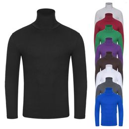 Men's T Shirts Solid Colour Elastic Slim High Collar Turtleneck Long Sleeve Colour Stretch Fit Bottoming Top Blouse