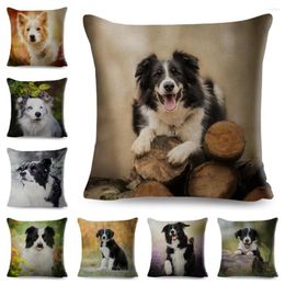 Pillow Cute Pet Animal Dog Printed Pillowcase Decor Scotland Border Collie Cover For Sofa Home Polyester Case 45 45cm